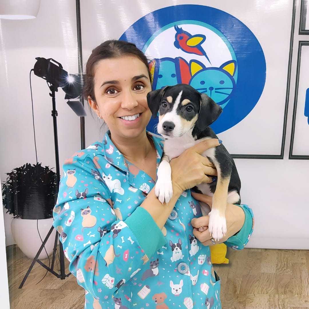 Foto da Galeria